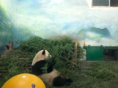-无锡动物园·太湖欢乐园