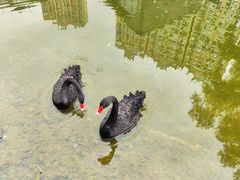 -西安曲江寒窑遗址公园