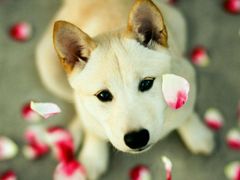 -敬亭山风景名胜区