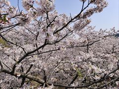 -苏州上方山国家森林公园