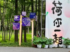 -嘉北郊野公园
