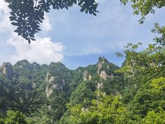 -王顺山国家森林公园