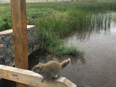 -鄂尔多斯野生动物园