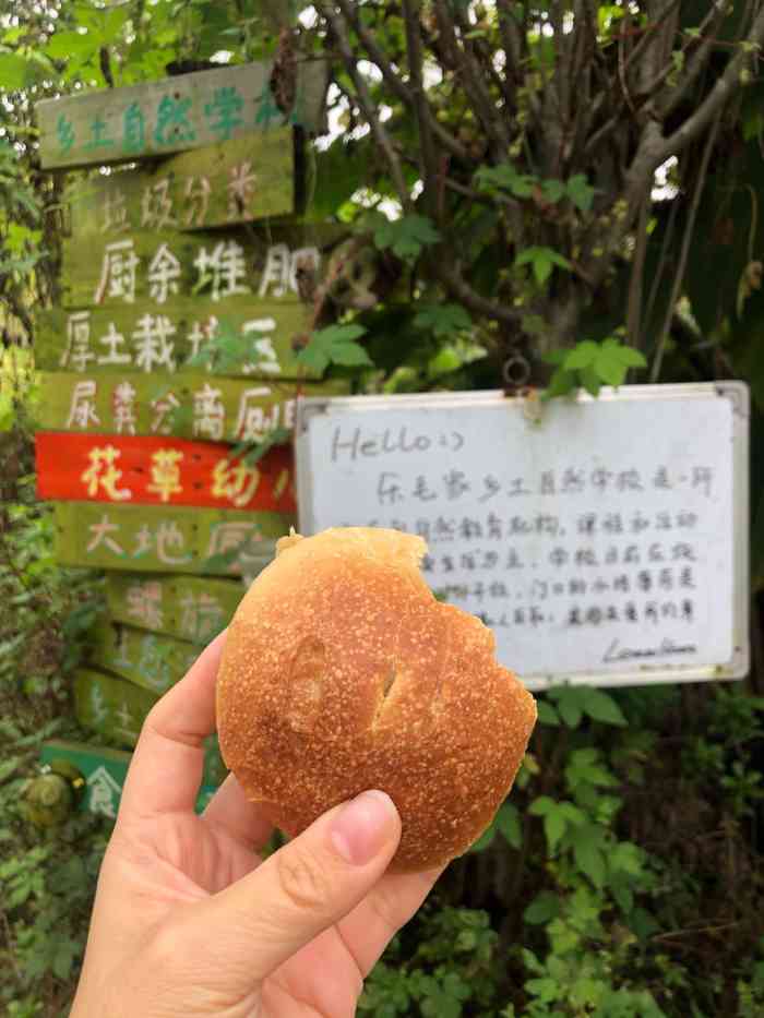 乐毛家乡土自然."-大众点评移动版