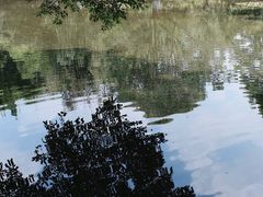 -望江楼公园