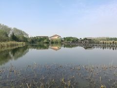 -溱湖国家湿地公园