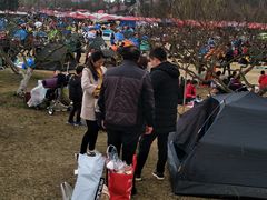 -秀丽东方