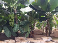 -南通洲际绿博园