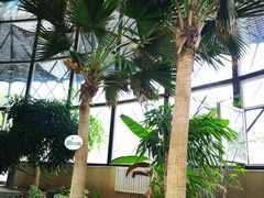 -武清南湖绿博园