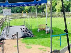 -前小桔亲子创意农场·草莓采摘·露营烧烤