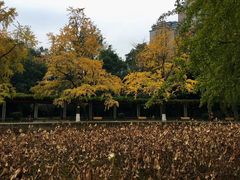 -四川大学(华西校区)