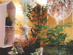 -蝶舍·MAISON PAPILLON