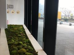 -喜茶(永旺梦乐城店)