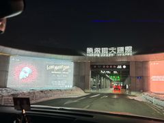 -哈尔滨大剧院
