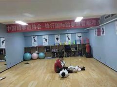 -嗨动跆拳道体能馆(菜百店)