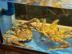 -德米火锅(深圳湾1号旗舰店)