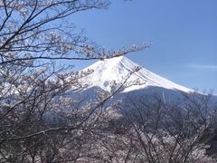 -富士山吉田線五合目