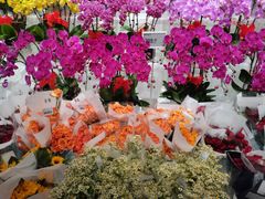 -盒马X会员店(王府井奥莱UP TOWN店)