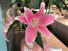 -南堂馆·新川菜(春熙路店)