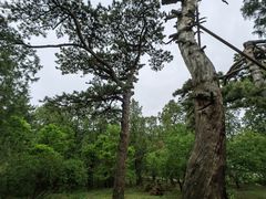 -香山公园-东宫门售票处