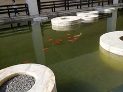 -牛焱·贵州黄牛肉火锅(城西银泰店)