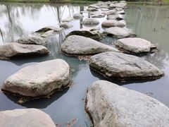 -上海浦江郊野公园-5号停车场