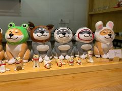 -柴务处·柴犬主题狗咖