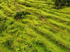 -华蓥山天意谷景区