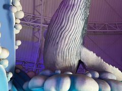 -烟台海昌鲸鲨海洋公园