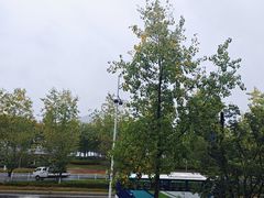 -宝荣鱼馆·临湖之宴(千岛湖店)