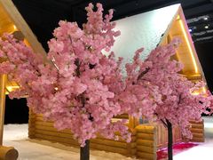 -宁波冰雪大世界(北仑区)