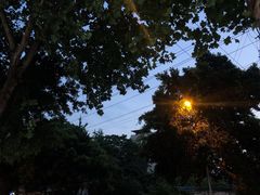 -肖肖酸萝卜鱼火锅(总店)