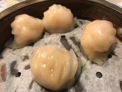 晶莹鲜虾饺-点点心点心专门店(旺角店)