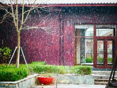 -丽江金茂璞修雪山酒店-雪景阁餐厅