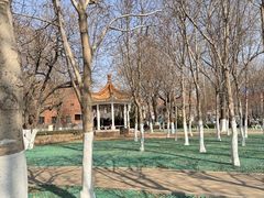 -睦南公园