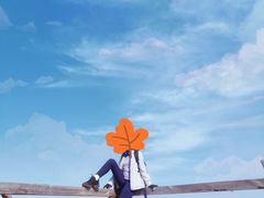 -阳台山自然风景区