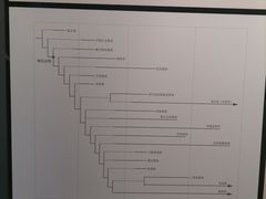 -四川大学博物馆
