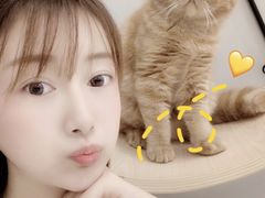 -飞行喵MR PILOT|猫舍·猫咖(静安大融城店)