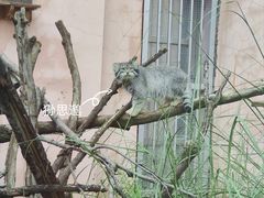 -青藏高原野生动物园