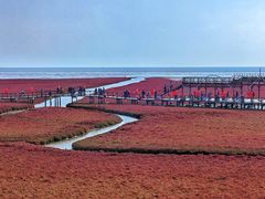 -红海滩国家风景廊道