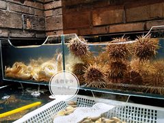 -日丰园海肠水饺·老字号大连海鲜(和平广场店)