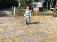 -胜丰草莓采摘园