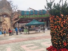 -美的鹭湖森林度假区