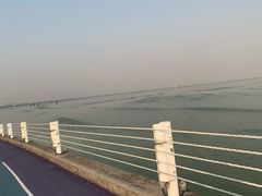 -贡湖湾湿地公园