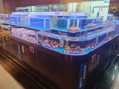 -同庆楼(天鹅酒家店)