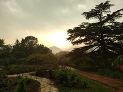 -国家植物园南园