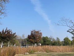 -佛手湖郊野公园