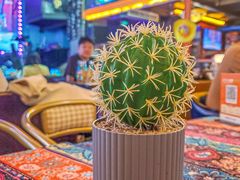-Famous肥猫墨西哥音乐餐吧(五棵松华熙LIVE店)
