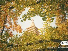 -北京石刻艺术博物馆