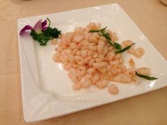 龙井虾仁-楼外楼(玉泉店)